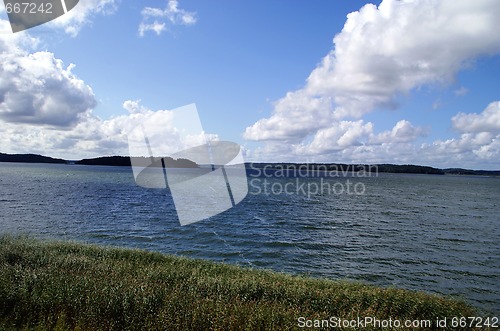 Image of Sea Sky and Reeds