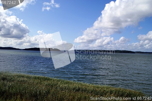 Image of Sea Sky and Reeds