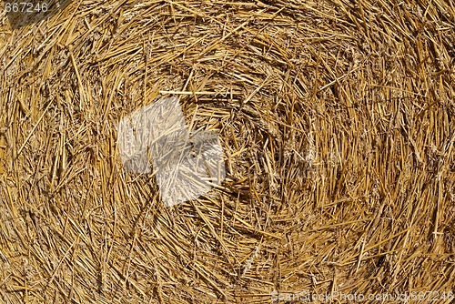 Image of Straw Bale Texture