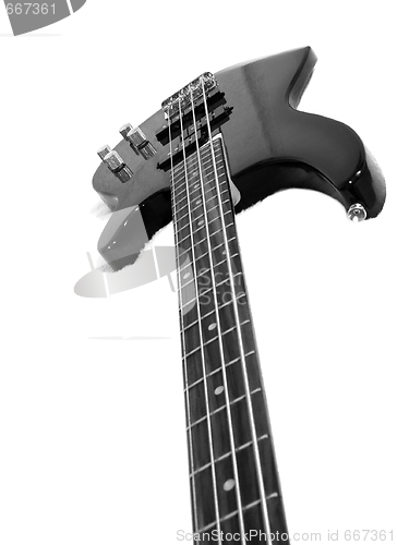 Image of Bass