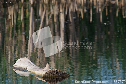 Image of Lake