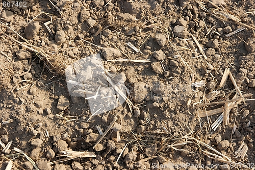 Image of Dry Soil