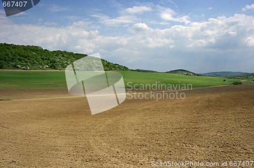 Image of Feild