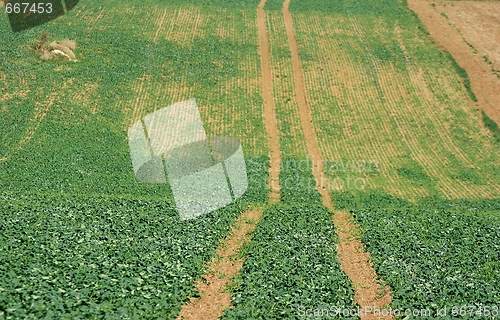 Image of Agriculture