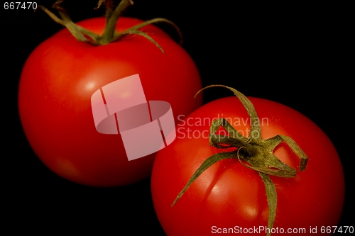 Image of Tomatoes