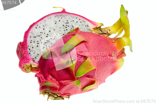 Image of Tropical fruit - Pitaya