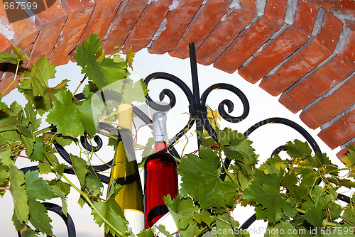 Image of Wine bottles between vine leaves on brick window