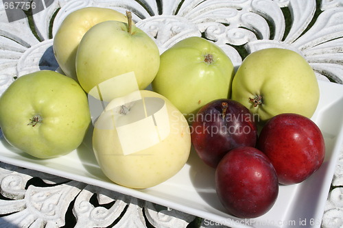 Image of Transparent Blanche apple and plum 