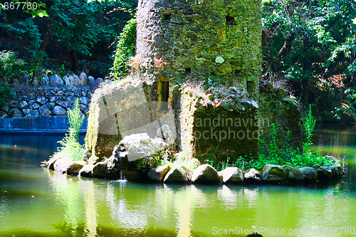 Image of River in forest