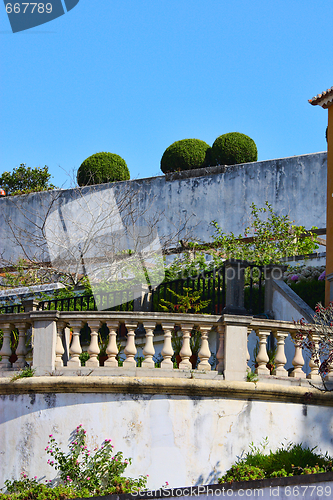 Image of Beautiful wall in park