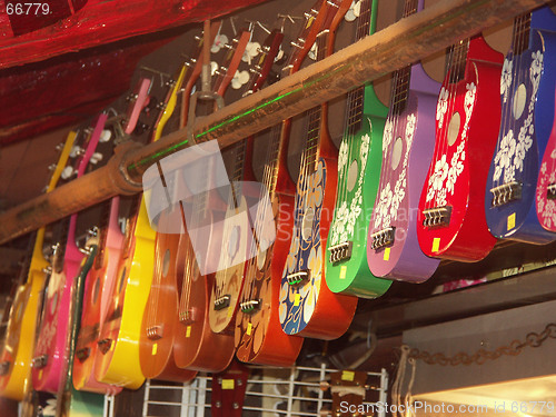 Image of Hawaii guitars