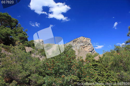 Image of Mountain