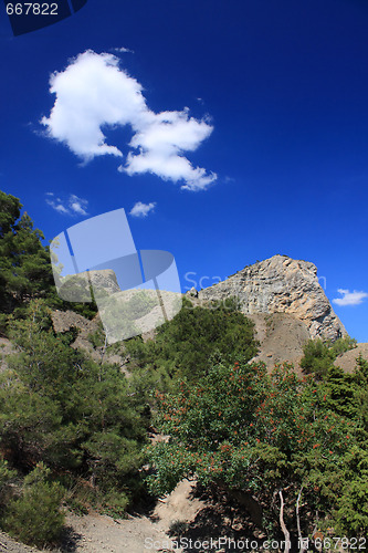 Image of Mountain