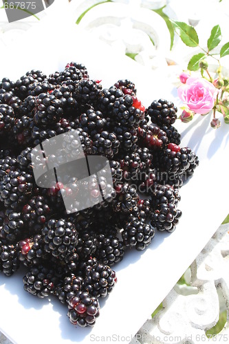 Image of Blackberries