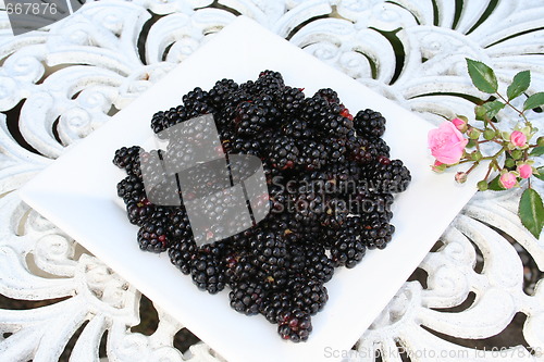 Image of Blackberries