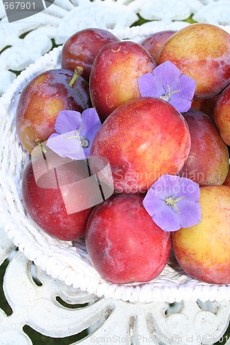 Image of Sweet plums