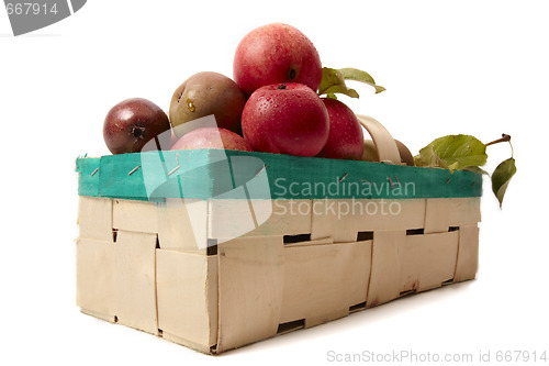 Image of Basket with apple