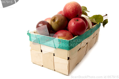 Image of Basket with apple