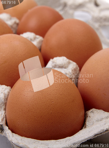 Image of Eggs in carton