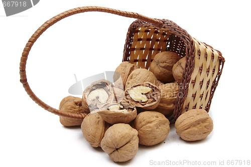 Image of Walnut out of basket