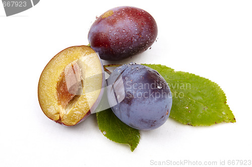 Image of Plum on white