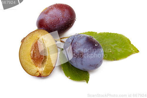 Image of Plum on white