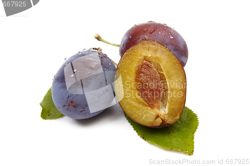 Image of Plum on white