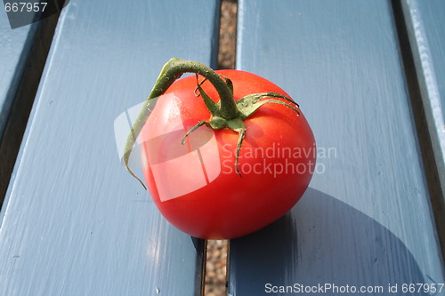 Image of Twig tomato