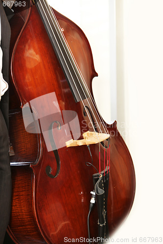 Image of  double bass 