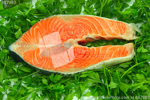 Image of Fresh salmon steak on the salad leaf