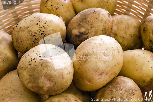 Image of Fresh Potatoes