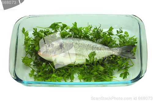 Image of Fish on a plate