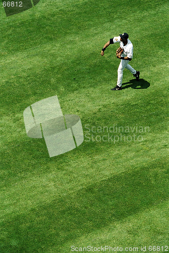 Image of Baseball Player