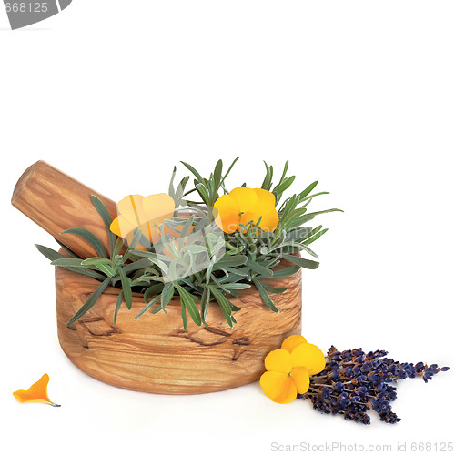 Image of Lavender Herb and Viola Flowers