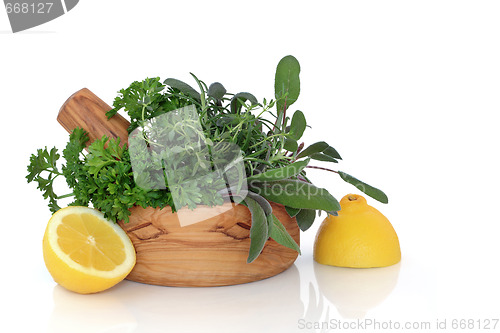 Image of  Herb and Lemon Freshness