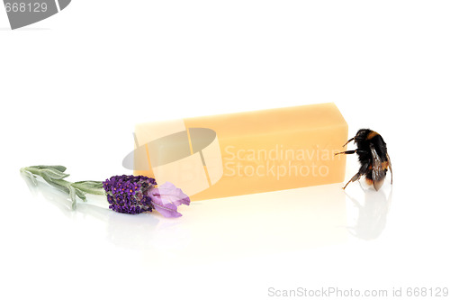 Image of  Bumblebee and Beeswax  