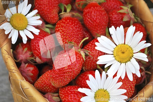 Image of basket of the strawberries