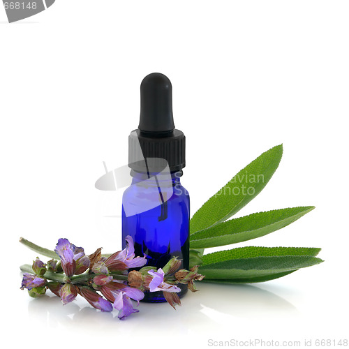 Image of Sage Herb Therapy