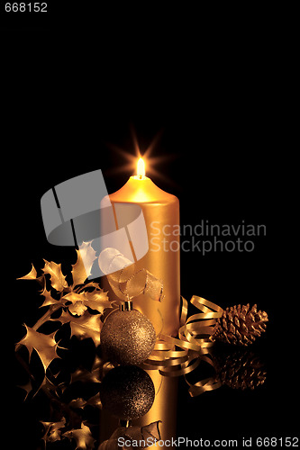 Image of Golden Christmas Beauty