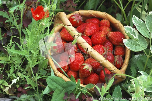 Image of basket of the strawberries