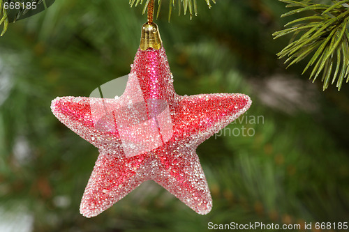 Image of Red chrismas star