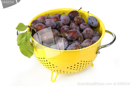 Image of Fresh plums