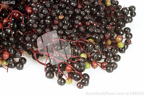 Image of Elderberries