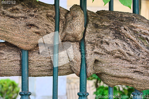 Image of  Metal fence