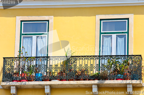 Image of  two windows on orange vivid wall 