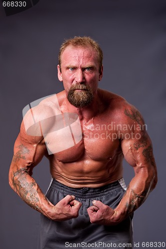 Image of Middle aged man body builder