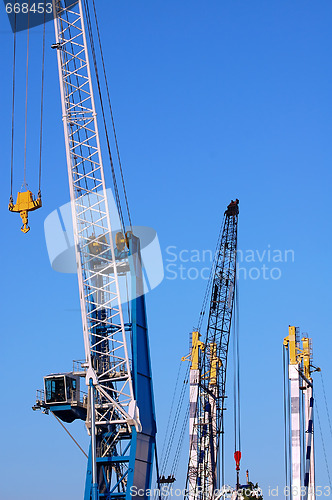 Image of Cranes