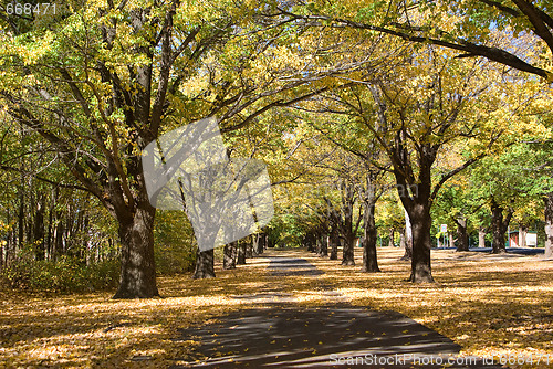 Image of autumn fall country path in park