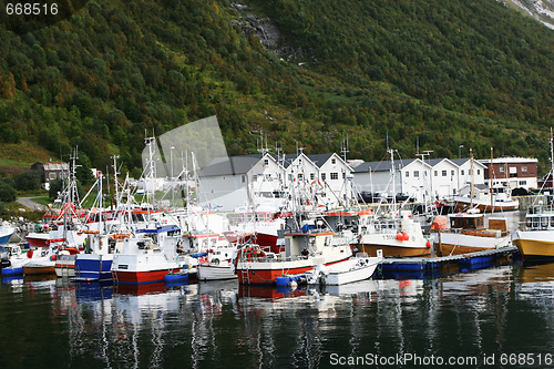 Image of Fishing boats