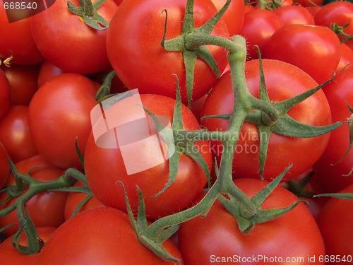 Image of Tomatoes